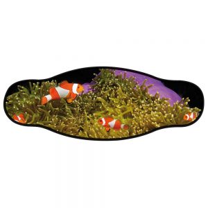 Best Divers Neoprene Mask Strap Clown With Velcro One Size