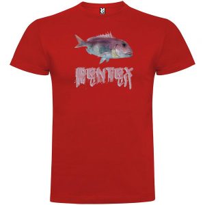 Kruskis Dentex XXXL Red