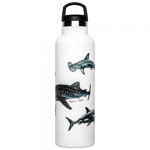 Fish Tank Shark Poster 600ml One Size Shark Poster