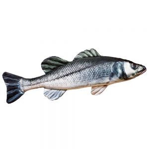Gaby The European Sea Bass Medium One Size Black / Green / White