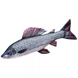 Gaby The Grayling Medium One Size White / Dark Navy / Pink