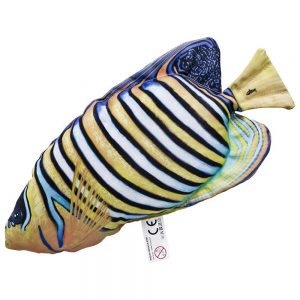 Gaby The Regal Angelfish Medium One Size Multicolor