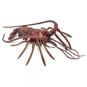 Safari Ltd Spiny Loobster From 3 years Brown / Orange