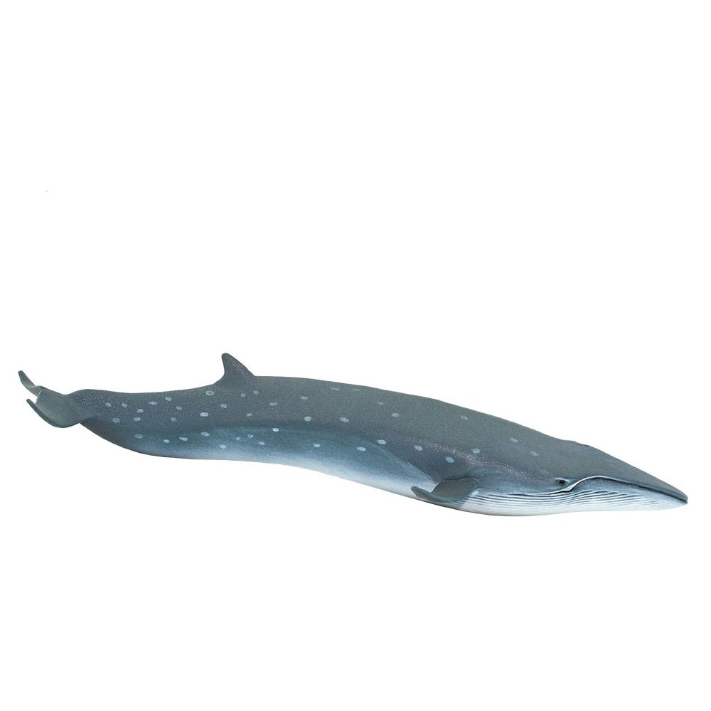 Safari Ltd Sei Whale From 3 years Grey