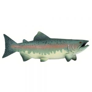 Safari Ltd Salmon From 3 years Multicolor