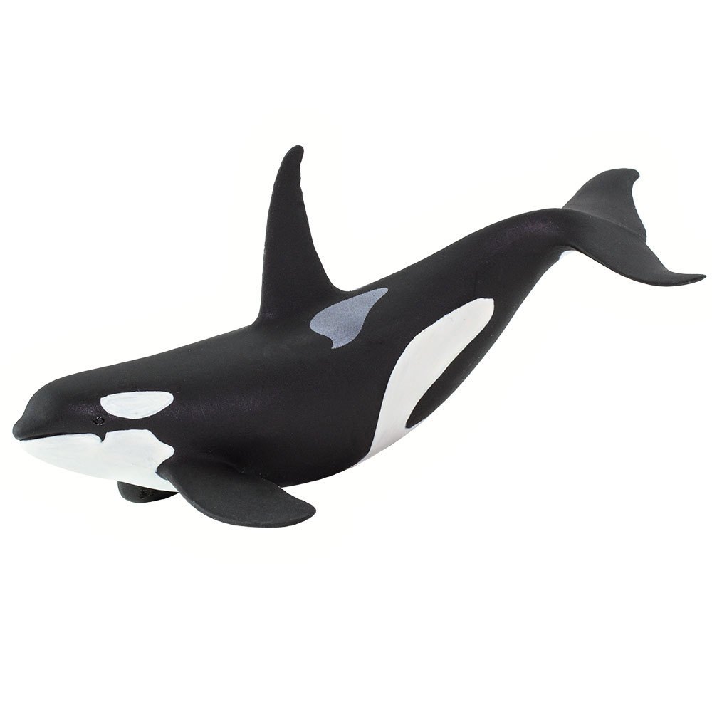 Safari Ltd Orca From 3 years Black / White