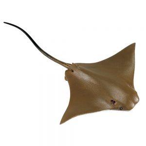 Safari Ltd Cownose Ray From 3 years Beige