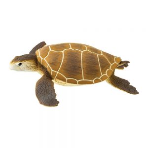Safari Ltd Green Sea Turtle From 3 years Brown