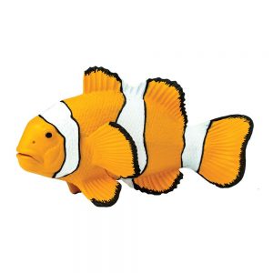 Safari Ltd Clown Anemonefish From 3 years Orange / White