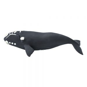Safari Ltd Right Whale From 3 years Black