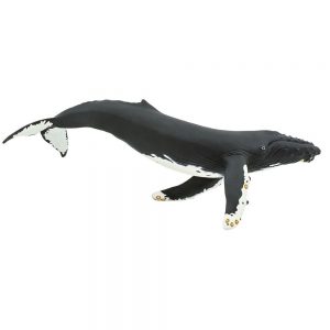 Safari Ltd Humpback Whale From 3 years Black