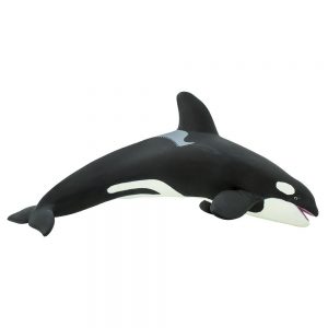 Safari Ltd Killer Whale From 3 years Black / White