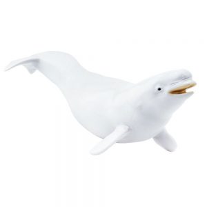 Safari Ltd Beluga From 3 years White