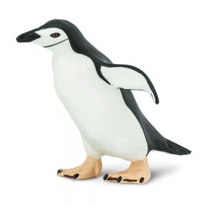 Safari Ltd Chinstrap Penguin From 3 years White / Black