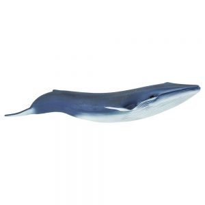 Safari Ltd Blue Whale From 3 years Blue
