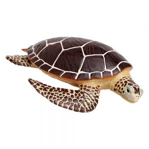 Safari Ltd Sea Turtle From 3 years Brown