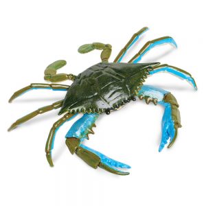 Safari Ltd Blue Crab From 3 years Green / Blue