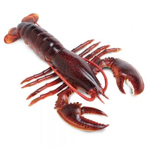 Safari Ltd Maine Lobster From 3 years Red