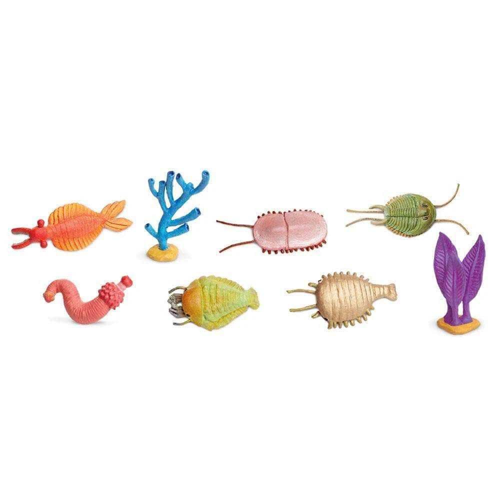 Safari Ltd Cambrian Life Toob From 3 years Multicolor
