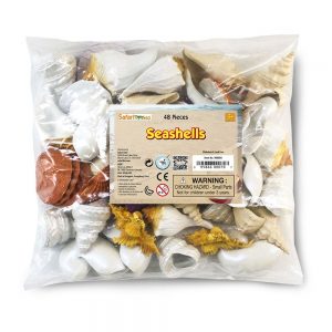Safari Ltd Seashells Bulk Bag From 3 years Multicolor
